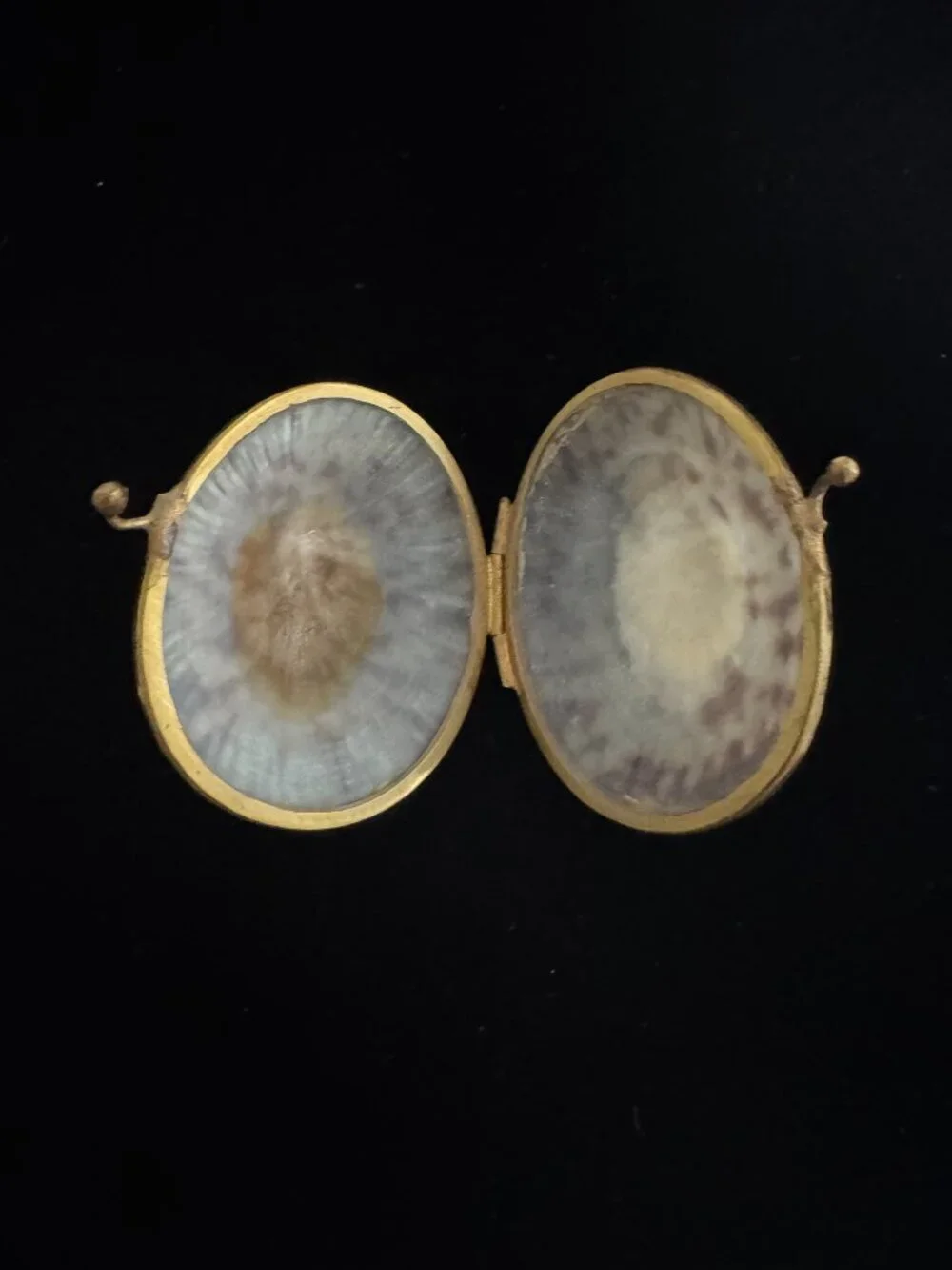 Shell trinket box with brass rim